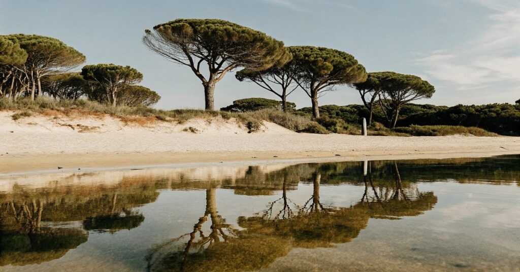 Best European Beaches for Families 2025
